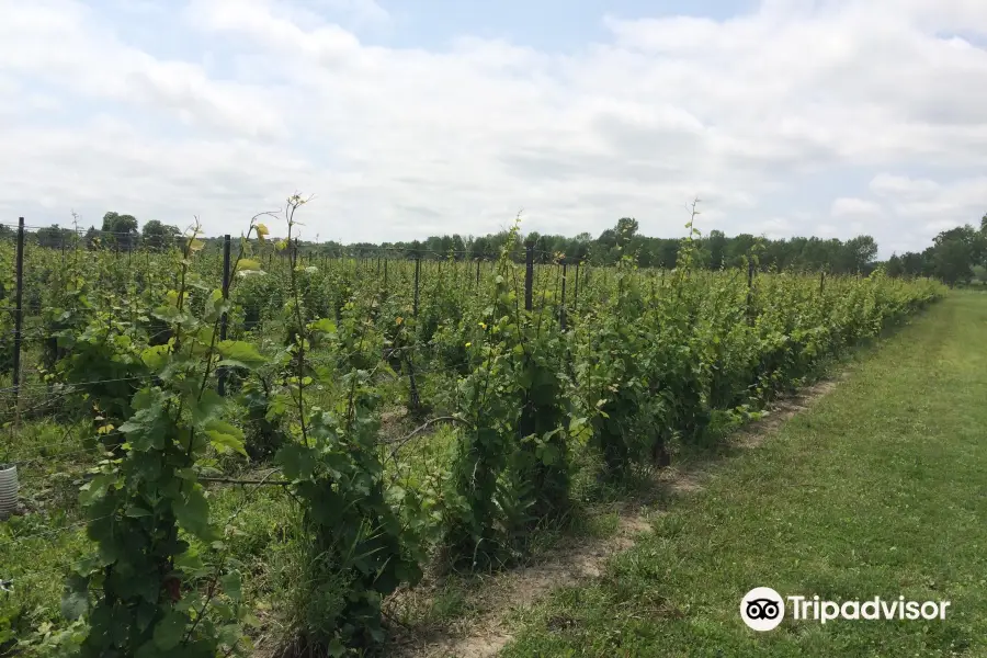 Hermann J. Wiemer Vineyard