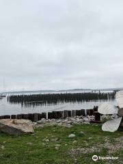 Eastern Promenade Trail