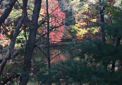 Cedar Side Walking Trail