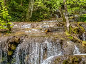 Cheile Nerei-Beușnița National Park