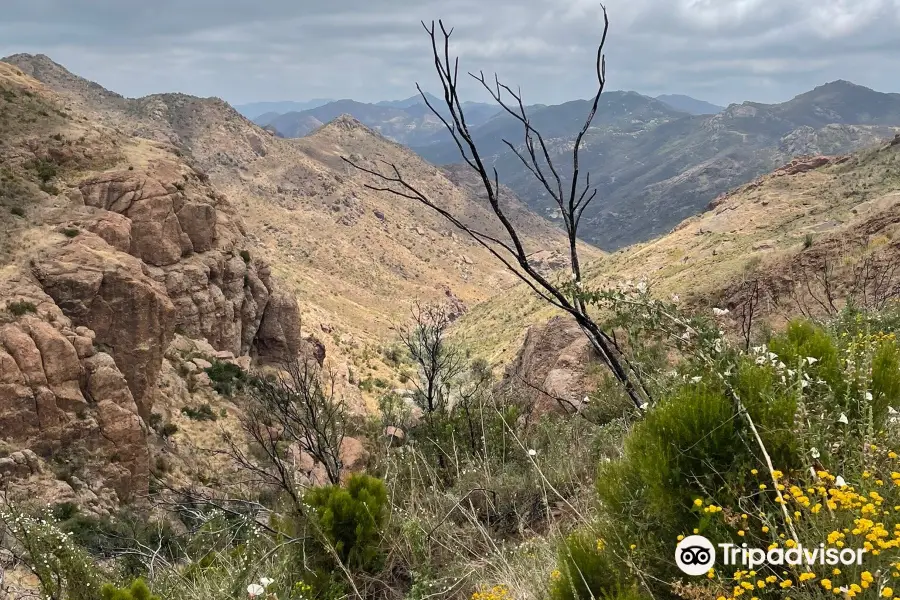 Sandstone Peak