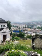 Old Jewish Cemetery (Antiguo cementerio judío)