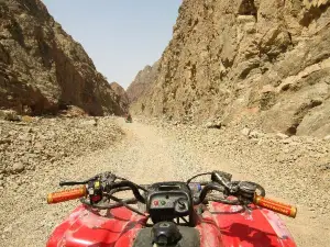 Canyon Motor Safaris