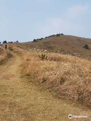 Darangswi Oreum Volcanic Cone