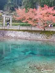 別府弁天池湧水