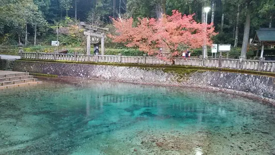 別府弁天池湧水