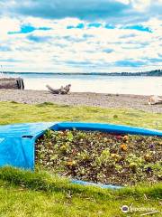 Broughty Ferry Beach