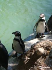 Chilean National Zoo