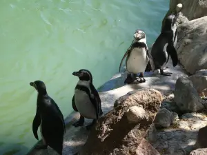 Chilean National Zoo