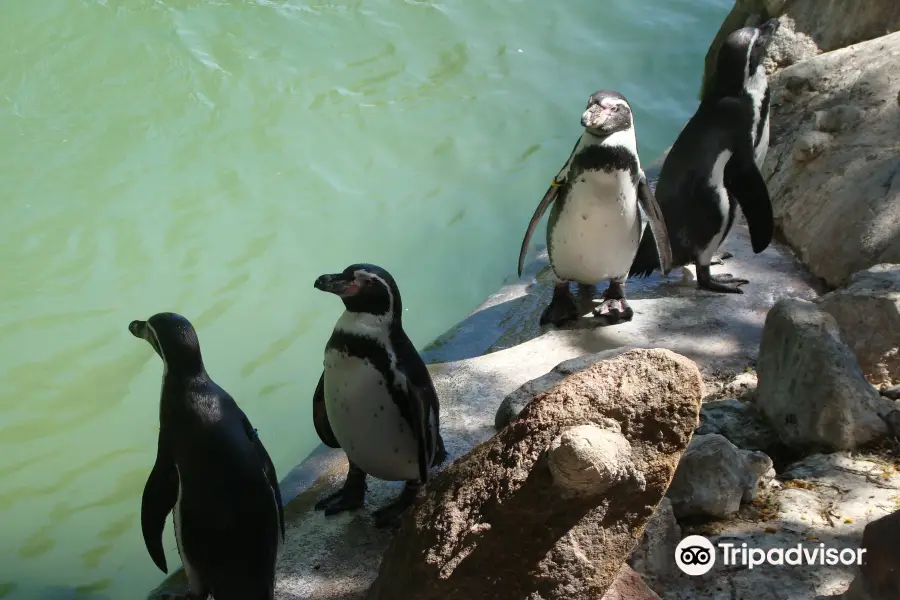 Chilean National Zoo