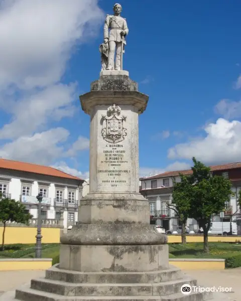 Estatua de Dom Pedro V