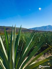 Mezcalería Sabor a Mitla