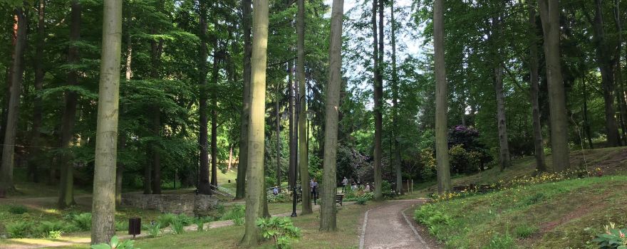 Park Zdrojowy