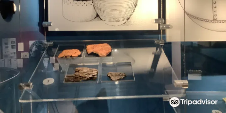 Roman Alcester Heritage Centre