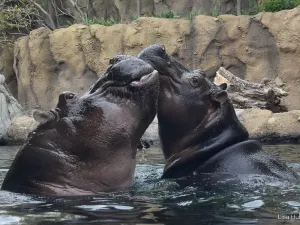 Cincinnati Zoo & Botanical Garden