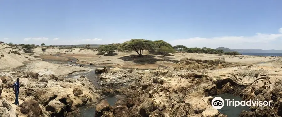 Abidjatta-Shalla National Park