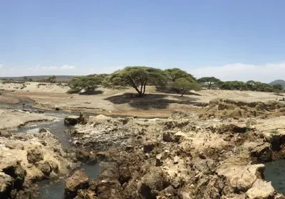 Awassa
