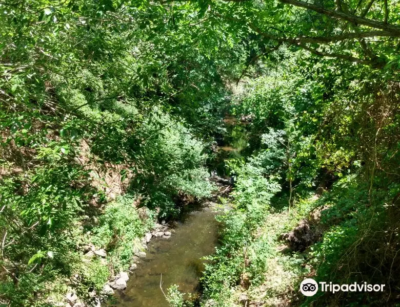 Edith L Moore Nature Sanctuary