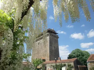 Donjon de Bazoges en Pareds