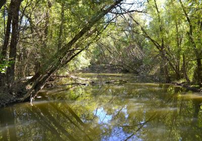 Toogood Pond Park