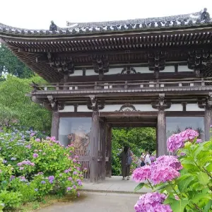 Kannon-ji Temple