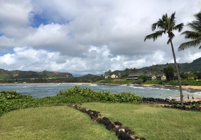 Ancient Hawaiian Heiau