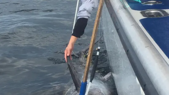 Tony's Tuna Fishing