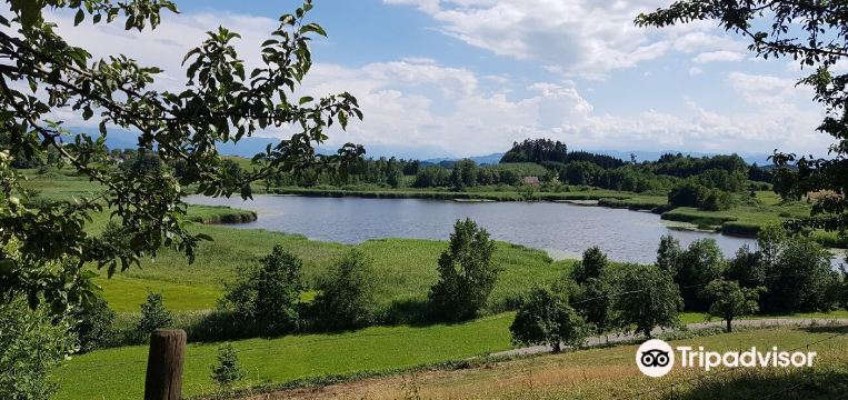 Neukirch Travel Guide 2023 - Things to Do, What To Eat & Tips | Trip.com