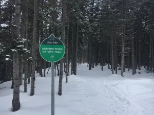 Humber River Trail