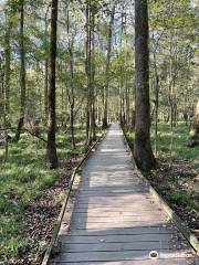 Boardwalk Loop Trail