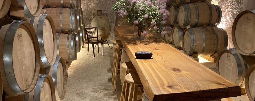 BIBICh Winery