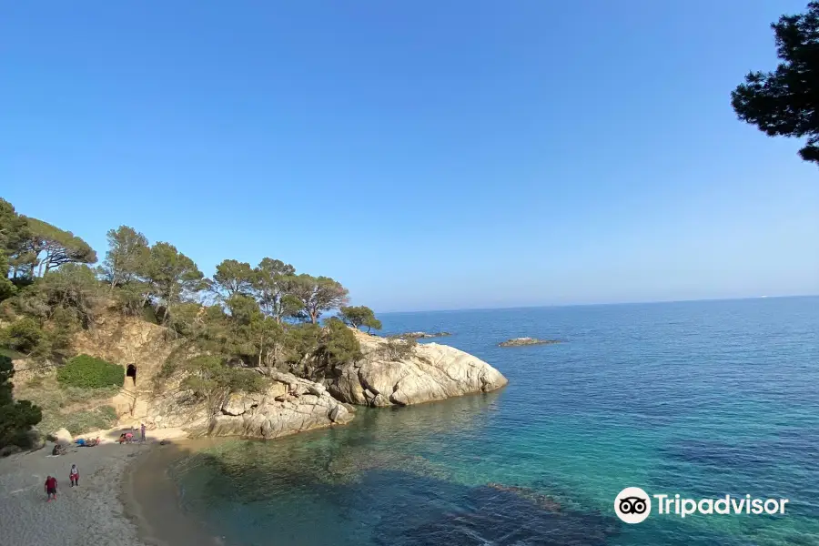 Cala del Pi