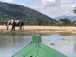 Kiboko safaris