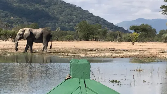 Kiboko safaris