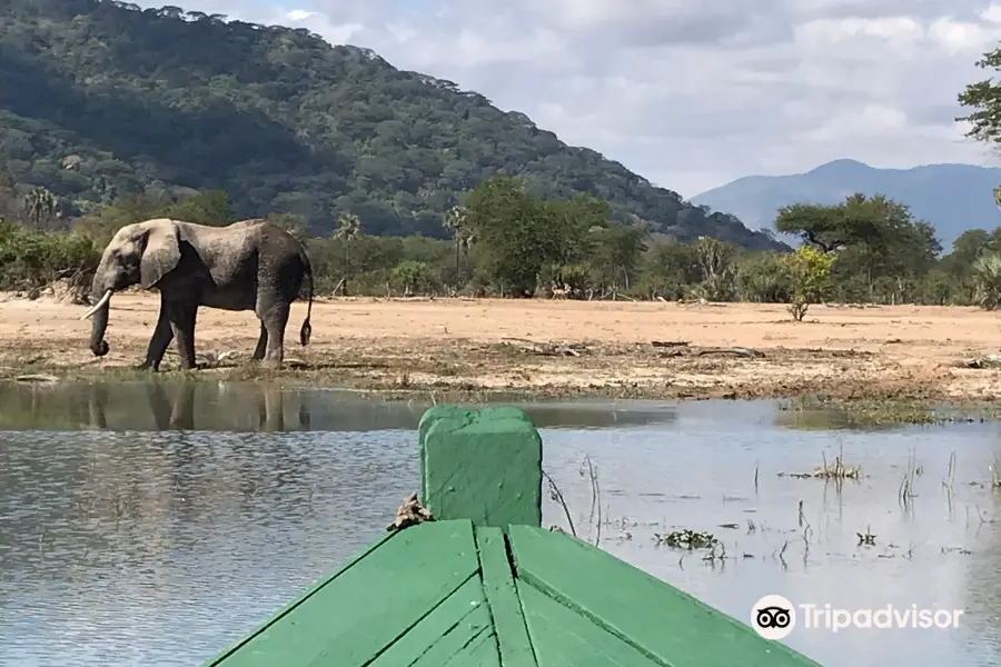 Kiboko Safaris