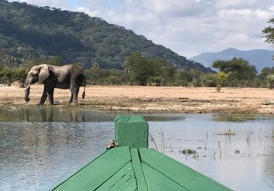 Kiboko Safaris