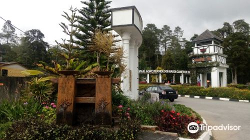 Agro Technology Park MARDI Cameron Highlands