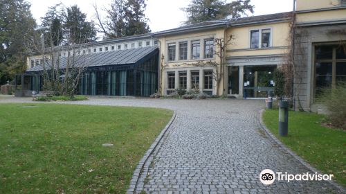 Volkerkundemuseum der Universitat Zurich