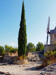 Moulin de Daudet