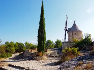 Moulin de Daudet