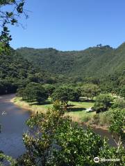 Garden Route National Park - Wilderness Section