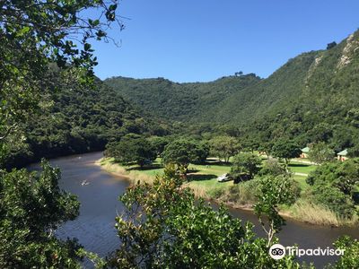 Garden Route National Park - Wilderness Section