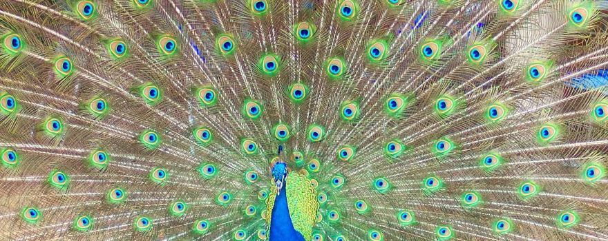 Esperance Bird and Animal Park