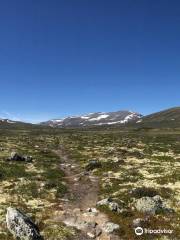 Dovre-Sunndalsfjella National Park