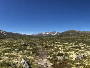 Dovre-Sunndalsfjella National Park