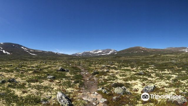 Dovre-Sunndalsfjella National Park