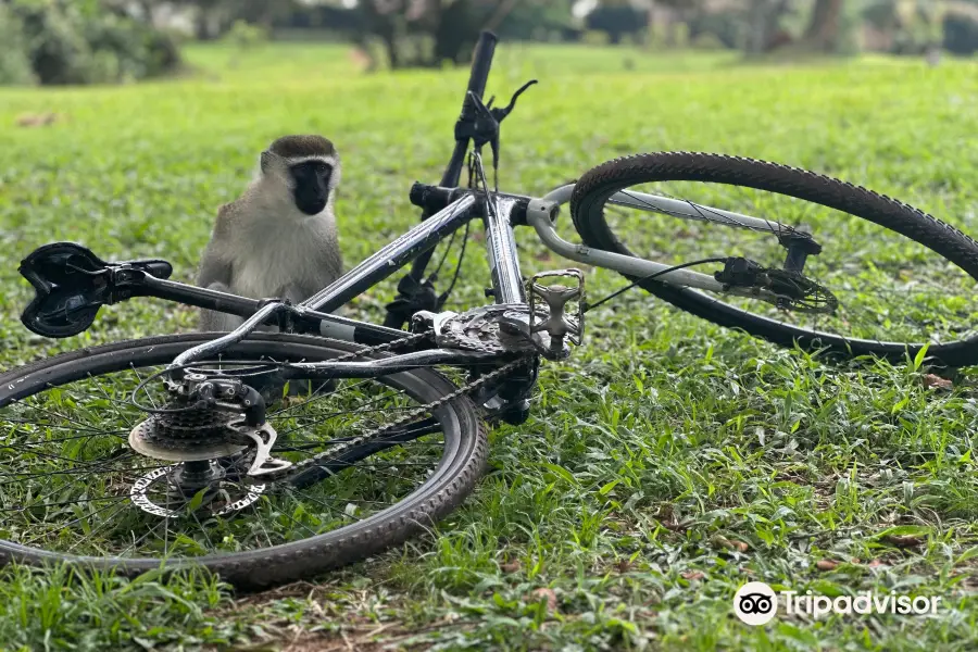 BikeX Uganda