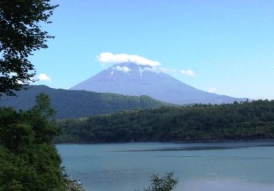 Fuji Five Lakes