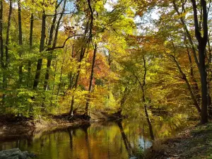 Ridley Creek State Park