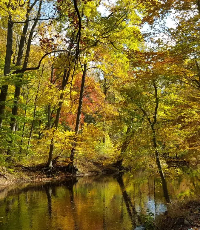 Edgmont Township